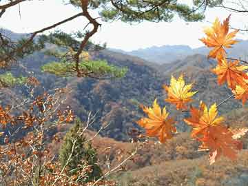 揭秘向山北山，自然与人文的和谐交融之美