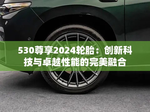 530尊享2024轮胎：创新科技与卓越性能的完美融合