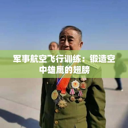 军事航空飞行训练：锻造空中雄鹰的翅膀