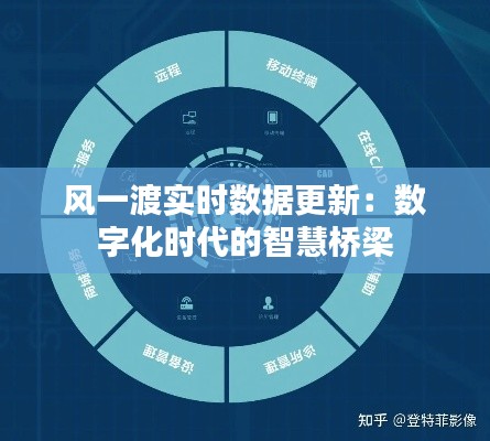 风一渡实时数据更新：数字化时代的智慧桥梁