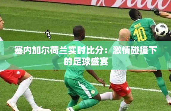 塞内加尔荷兰实时比分：激情碰撞下的足球盛宴