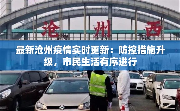 最新沧州疫情实时更新：防控措施升级，市民生活有序进行