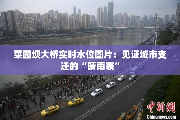 菜园坝大桥实时水位图片：见证城市变迁的“晴雨表”