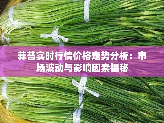 蒜苔实时行情价格走势分析：市场波动与影响因素揭秘