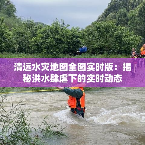 一毫不苟 第4页