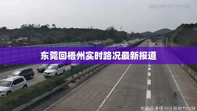 东莞回梧州实时路况最新报道