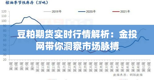 豆粕期货实时行情解析：金投网带你洞察市场脉搏
