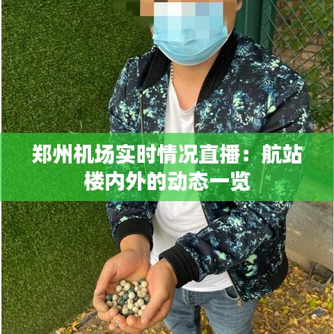 郑州机场实时情况直播：航站楼内外的动态一览