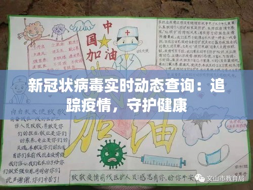 新冠状病毒实时动态查询：追踪疫情，守护健康