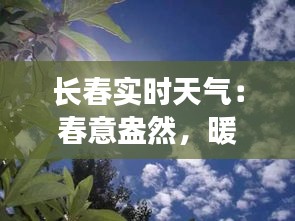 长春实时天气：春意盎然，暖阳初现