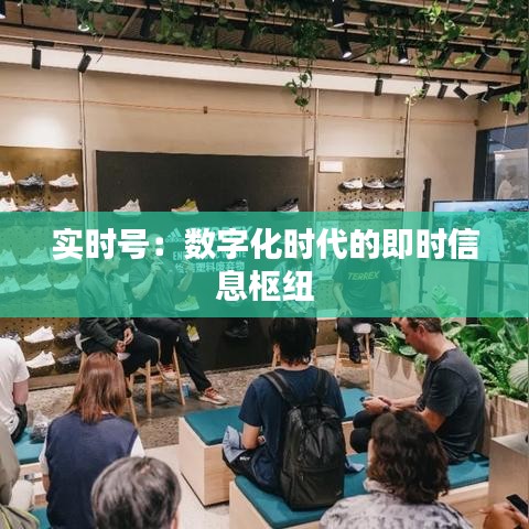 实时号：数字化时代的即时信息枢纽