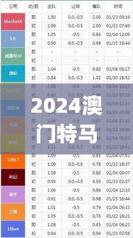 2024澳门特马今晚开奖49图,重要性解析方法_4DM3.380