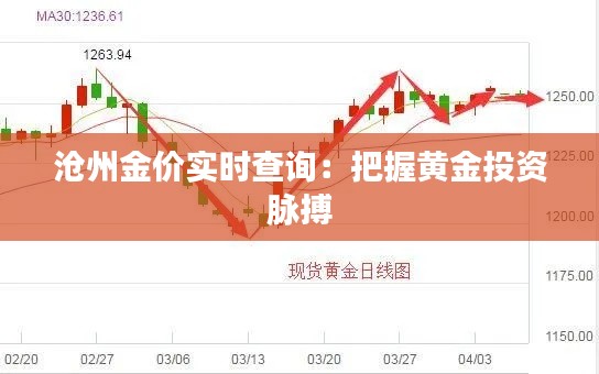 沧州金价实时查询：把握黄金投资脉搏