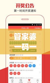 管家婆一码一肖,实地解答解释定义_精简版2.415