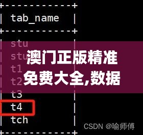 澳门正版精准免费大全,数据资料解释定义_复刻款4.974