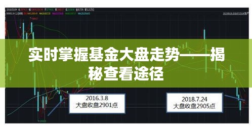 实时掌握基金大盘走势——揭秘查看途径