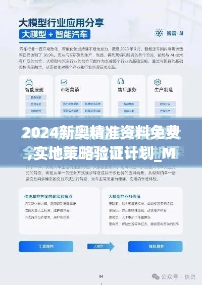 2024新奥精准资料免费,实地策略验证计划_Max3.385