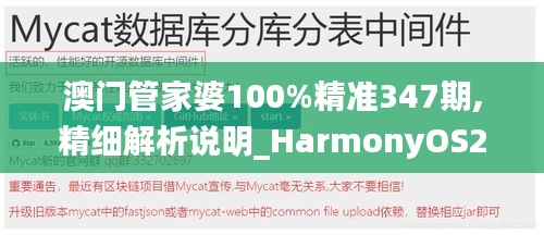 澳门管家婆100%精准347期,精细解析说明_HarmonyOS2.118