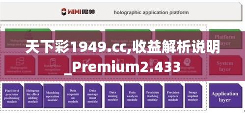 天下彩1949.cc,收益解析说明_Premium2.433