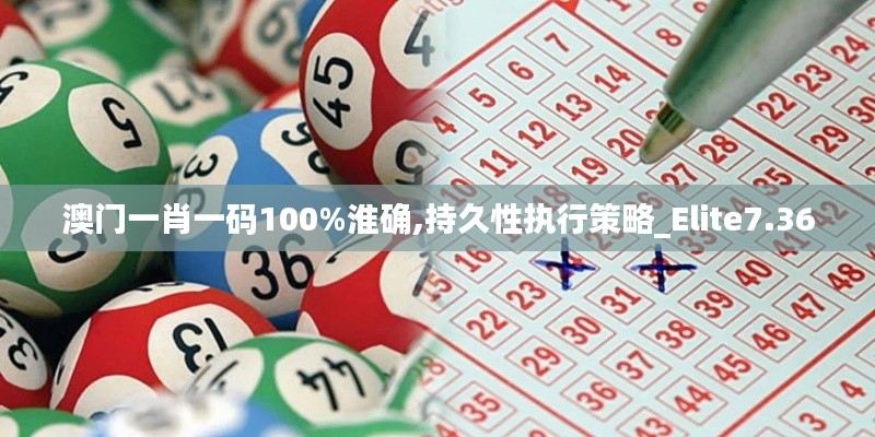 澳门一肖一码100%淮确,持久性执行策略_Elite7.360