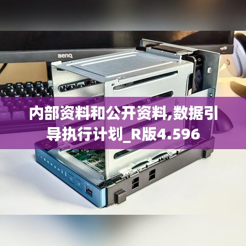 内部资料和公开资料,数据引导执行计划_R版4.596