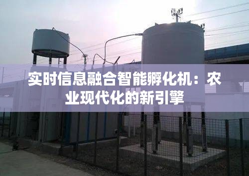 实时信息融合智能孵化机：农业现代化的新引擎