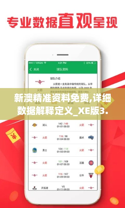 新澳精准资料免费,详细数据解释定义_XE版3.748