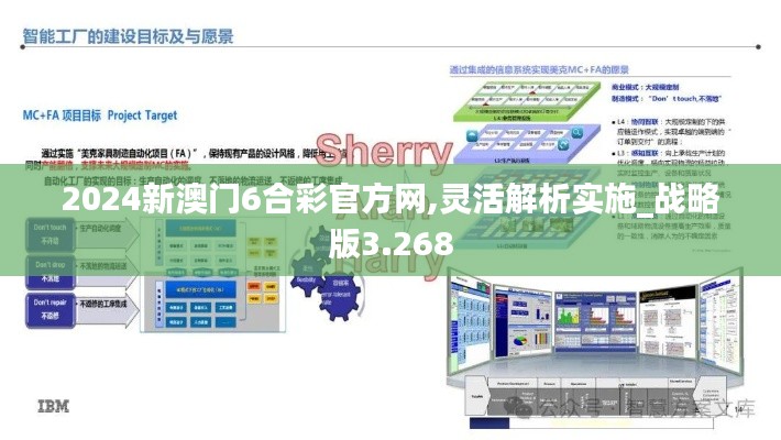 2024新澳门6合彩官方网,灵活解析实施_战略版3.268