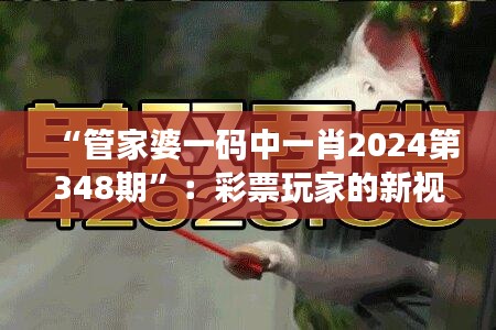 “管家婆一码中一肖2024第348期”：彩票玩家的新视角