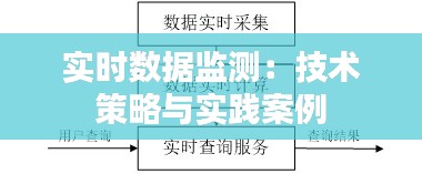 实时数据监测：技术策略与实践案例