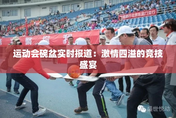 运动会碗盆实时报道：激情四溢的竞技盛宴