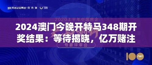 2024澳门今晚开特马348期开奖结果：等待揭晓，亿万赌注的一掷