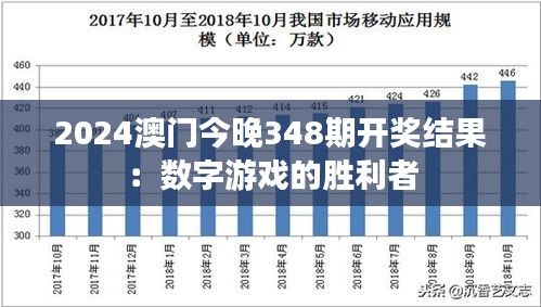 2024澳门今晚348期开奖结果：数字游戏的胜利者