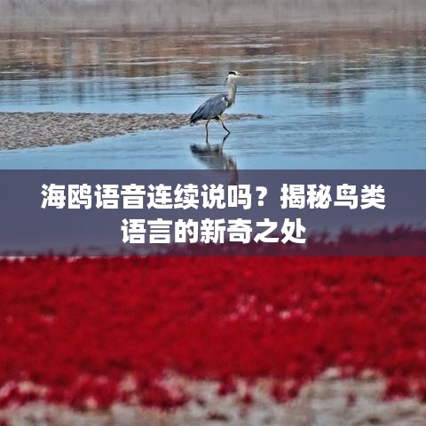 衣不兼彩 第3页