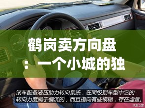 尽心尽力 第3页