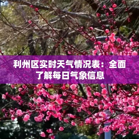 利州区实时天气情况表：全面了解每日气象信息