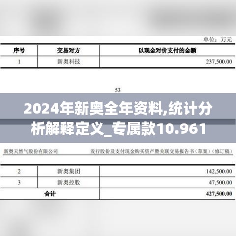 2024年新奥全年资料,统计分析解释定义_专属款10.961