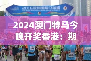 2024澳门特马今晚开奖香港：期待一场激动人心的赛事盛宴