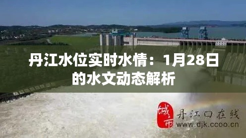 丹江水位实时水情：1月28日的水文动态解析