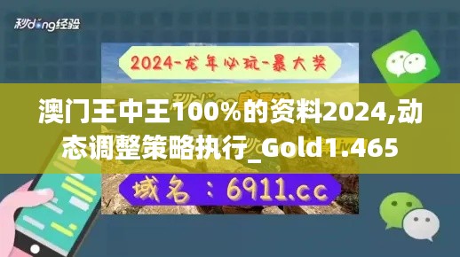 澳门王中王100%的资料2024,动态调整策略执行_Gold1.465