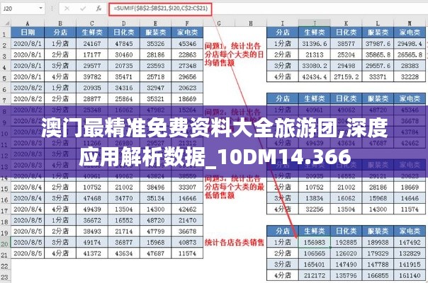 澳门最精准免费资料大全旅游团,深度应用解析数据_10DM14.366