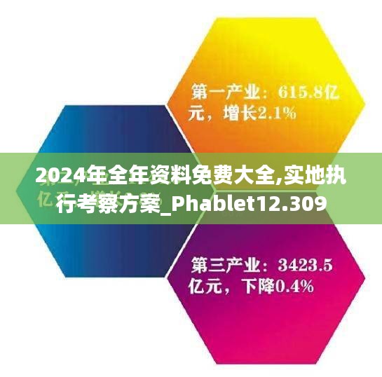 2024年全年资料免费大全,实地执行考察方案_Phablet12.309