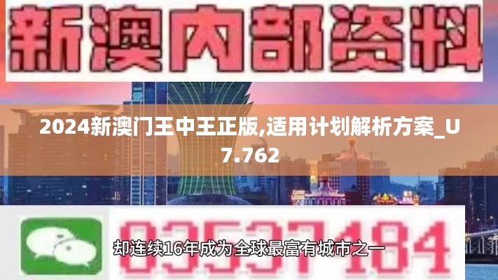 2024新澳门王中王正版,适用计划解析方案_U7.762