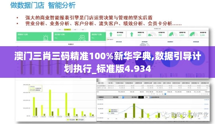 澳门三肖三码精准100%新华字典,数据引导计划执行_标准版4.934