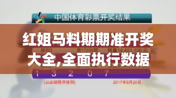 红姐马料期期准开奖大全,全面执行数据计划_苹果款11.168