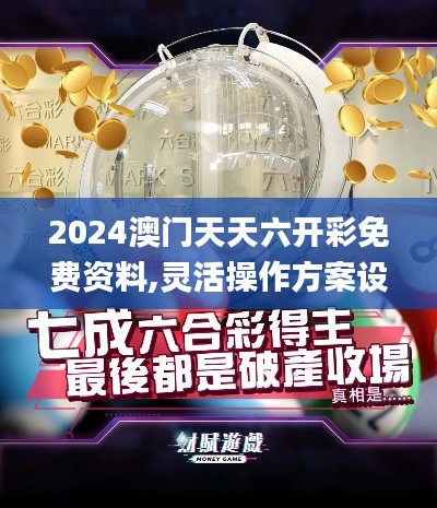 2024澳门天天六开彩免费资料,灵活操作方案设计_The2.724