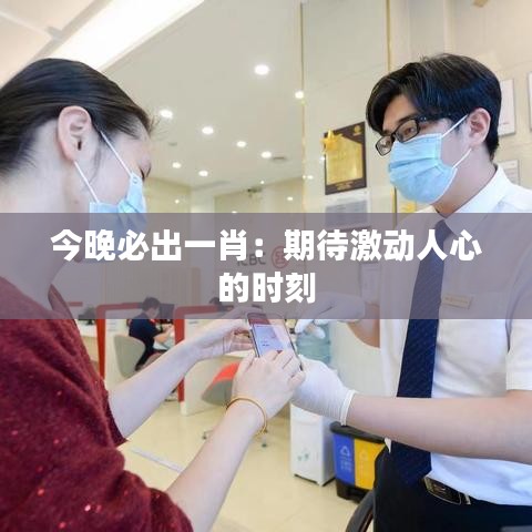 今晚必出一肖：期待激动人心的时刻
