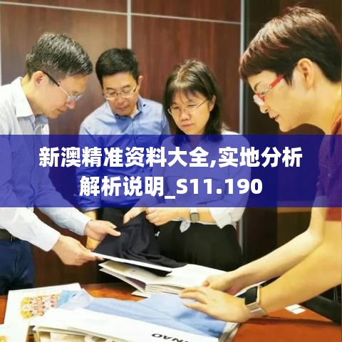 新澳精准资料大全,实地分析解析说明_S11.190