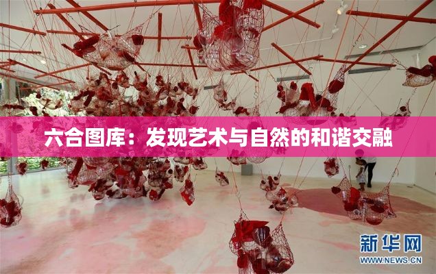 六合图库：发现艺术与自然的和谐交融