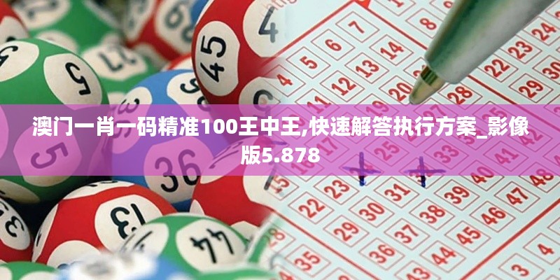 澳门一肖一码精准100王中王,快速解答执行方案_影像版5.878